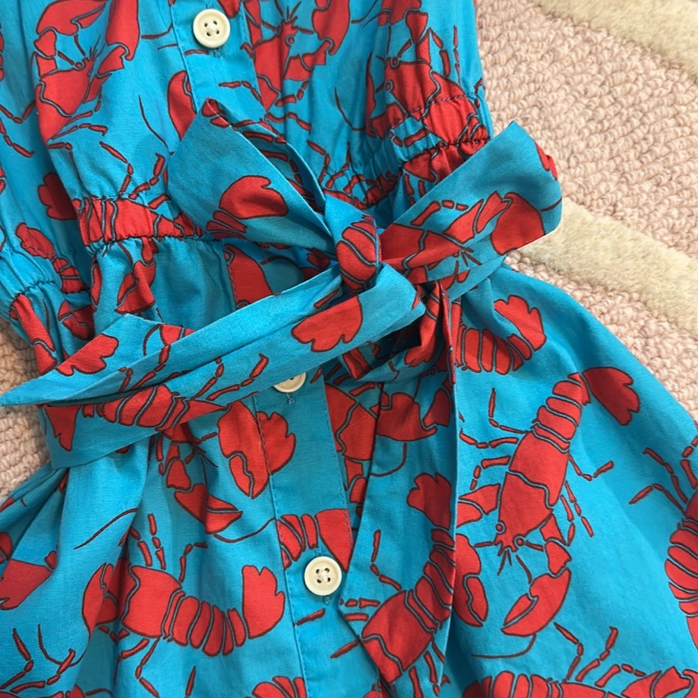 Crewcuts size 6 lobster dress - Picture 2 of 3